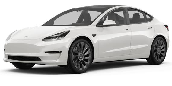 TESLA MODEL 3 2023 5YJ3E1EA9PF502815 image